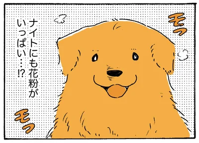 花粉がいっぱい…！？