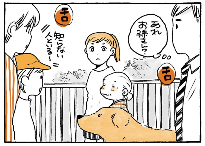 町の人気者ゆえ？女子高生がレトリバーとお散歩したときの後悔／姫ばあちゃんとナイト2（11）