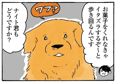ナイト君もどうですか？