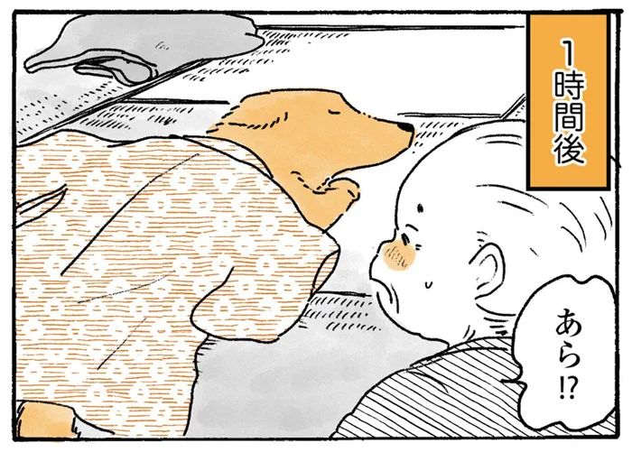 毛布じゃなくていいの？着物を掛け布団にして寝るレトリバー／姫ばあちゃんとナイト2（16）