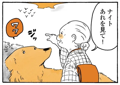 あれを見て！