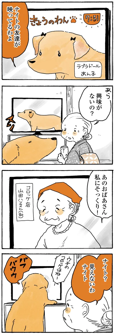 あのおばあさん私にそっくり！