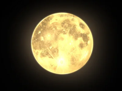 月はかつて地球だった！？