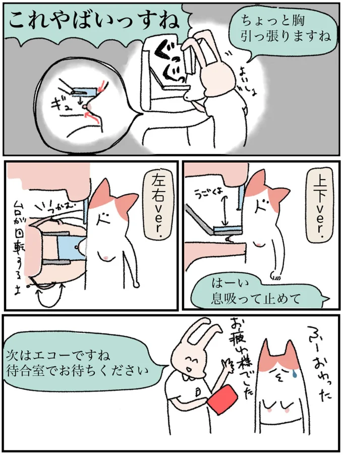 『アラサー会社員の乳がんの備忘録』より