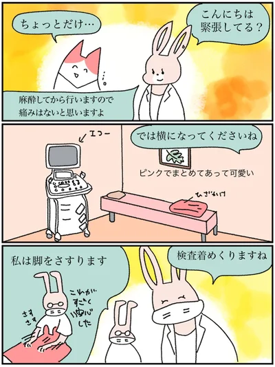 『アラサー会社員の乳がんの備忘録』より
