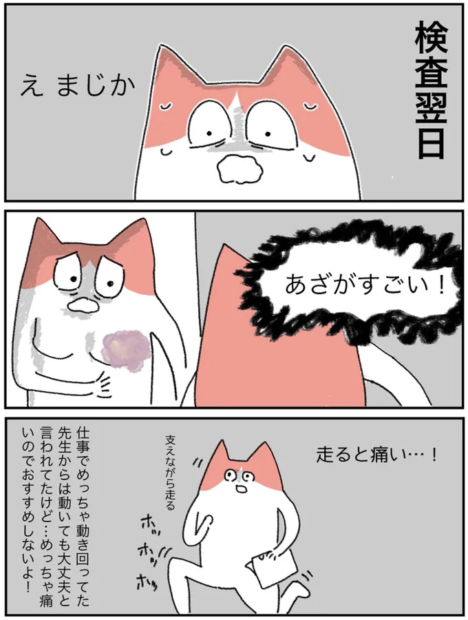 『アラサー会社員の乳がんの備忘録』より