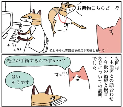 『アラサー会社員の乳がんの備忘録』より
