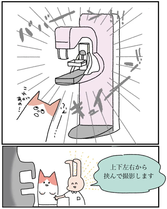 『アラサー会社員の乳がんの備忘録』より