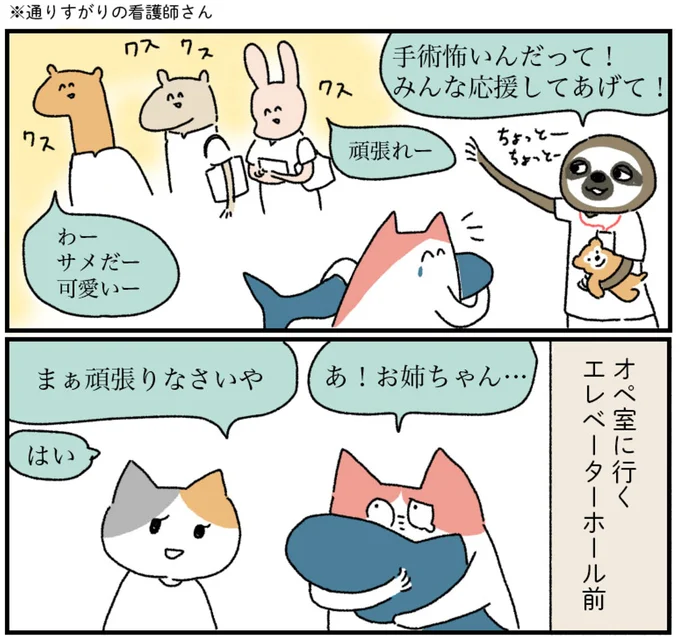 『アラサー会社員の乳がんの備忘録』より
