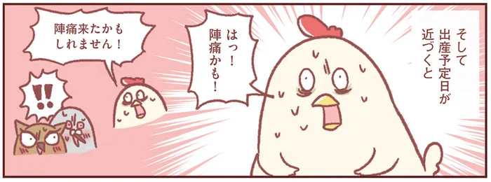 「陣痛来たかも！」何度覚悟を決めても空振り。初期陣痛がわからない！／主婦の給料、5兆円ほしーー!!!（2）