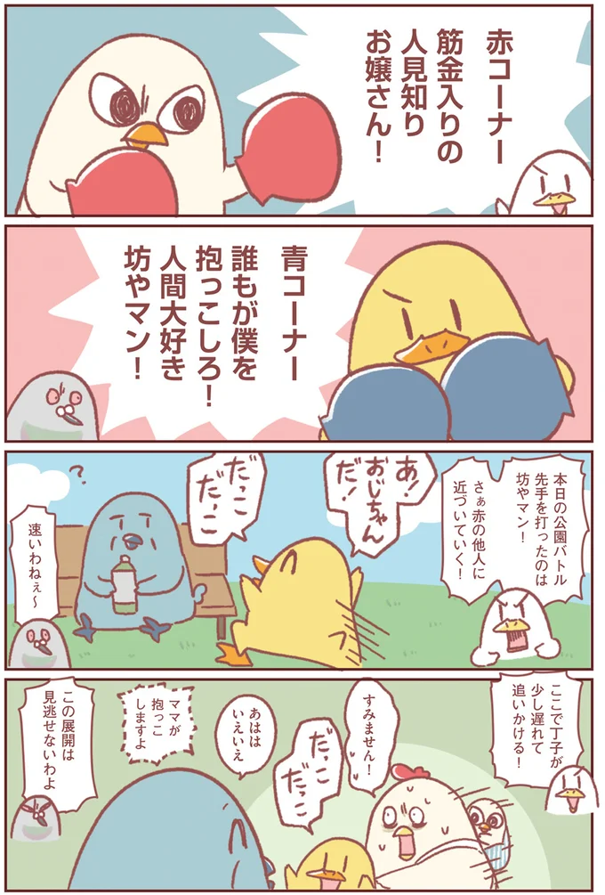 本日の公園バトル