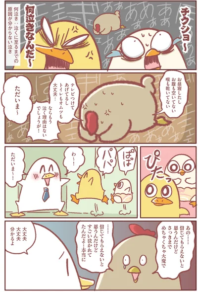 チクショ～何泣きなんだ～