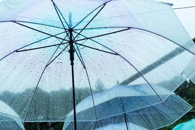 降水確率は雨の強さや降る量、降り続ける時間などとは関係がない。