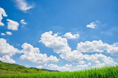 なぜ空中に浮かんでいることができるのか。