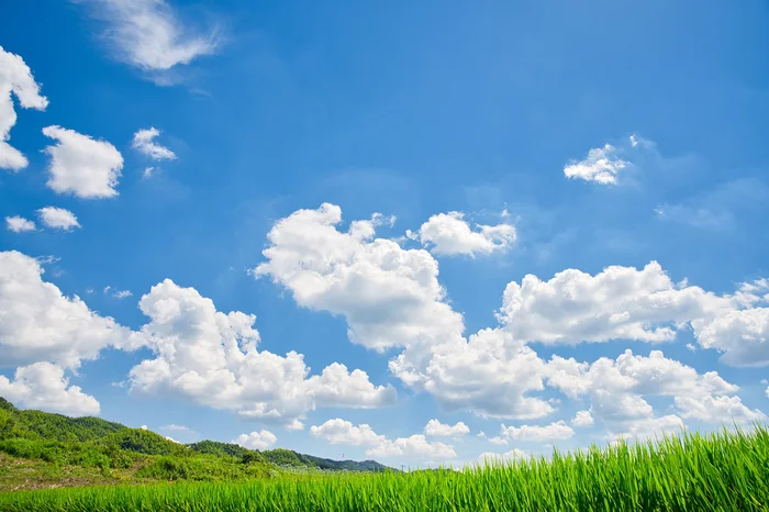 水や氷の粒からできている「雲」の謎。なぜ、空から落ちてこないのか？