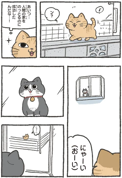 にゃーい（おーい）