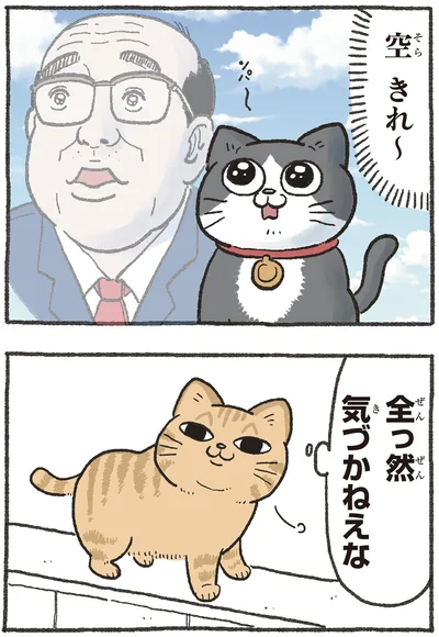 空　きれ～