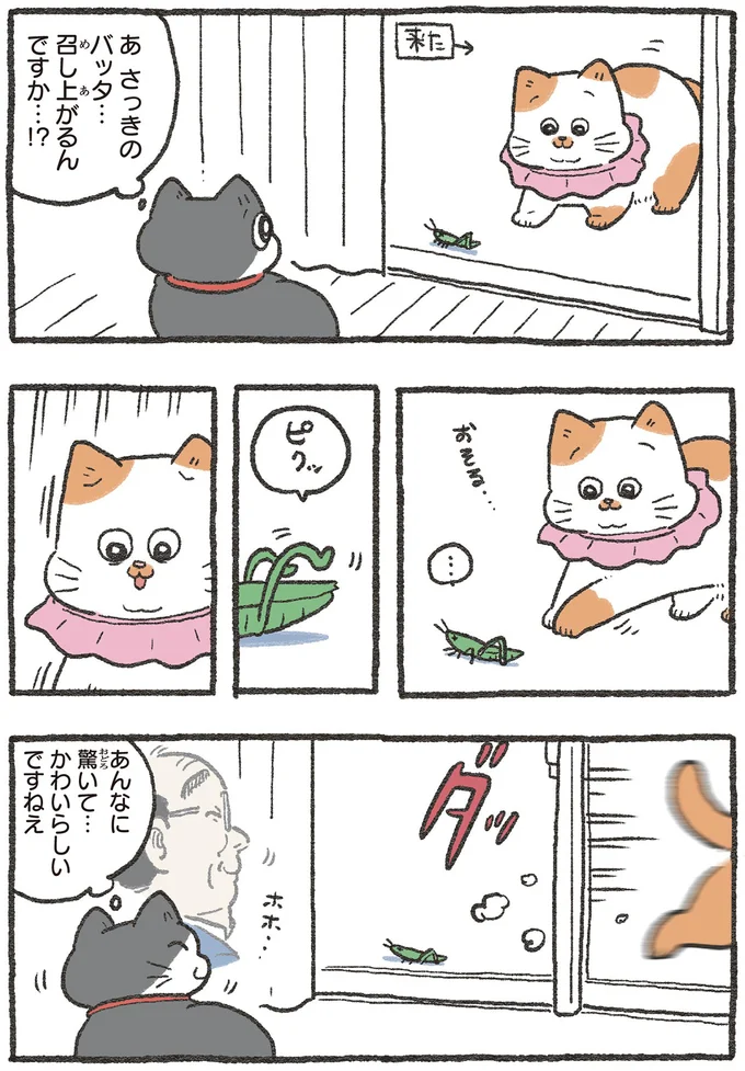 かわいらしいですねえ