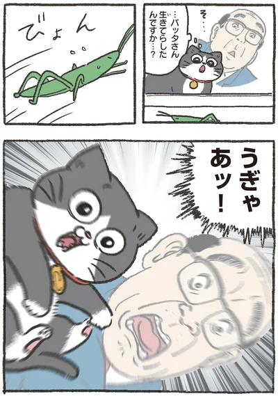 うぎゃあッ！