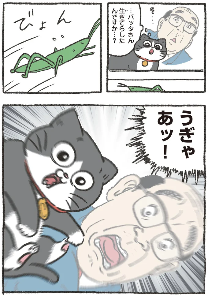 うぎゃあッ！