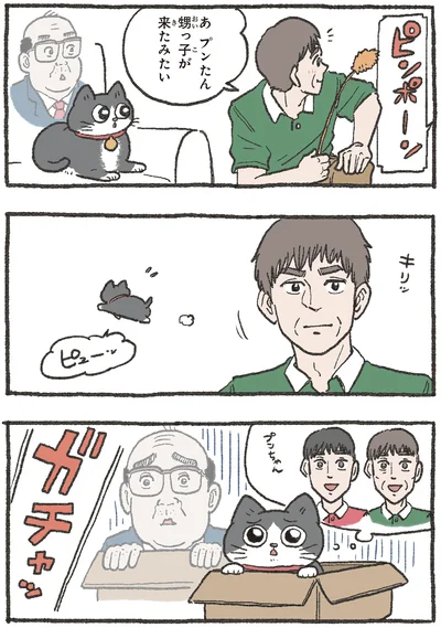 甥っ子が来たみたい
