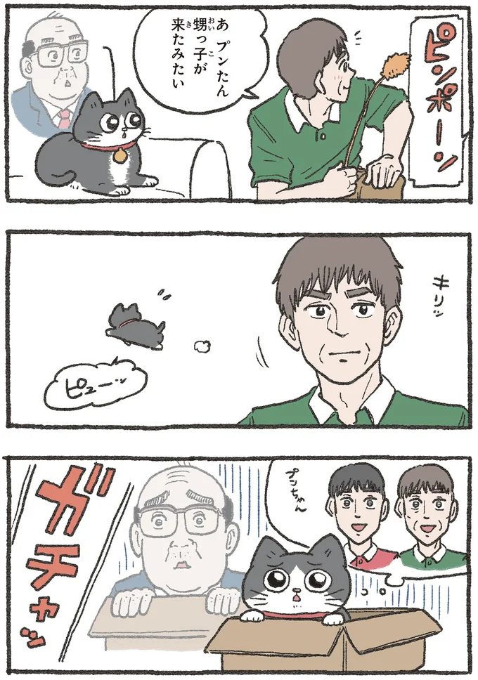 甥っ子が来たみたい