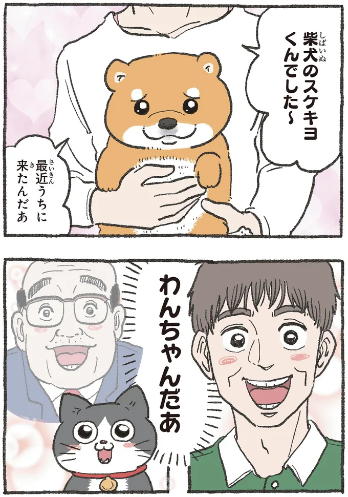 わんちゃんだあ