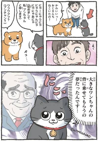おじさんち　ねこいたの？