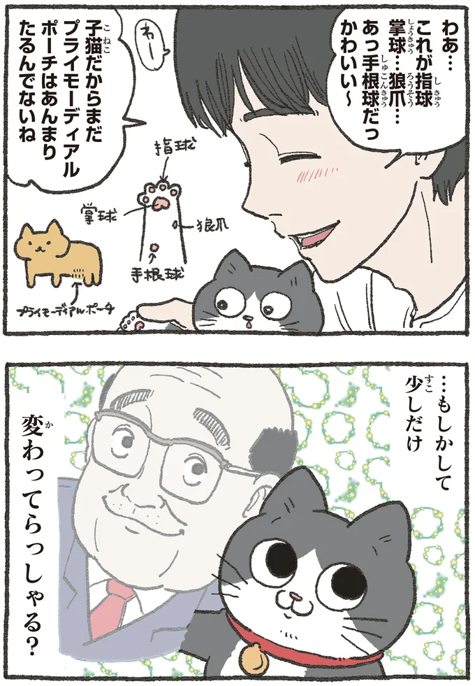 変わってらっしゃる？