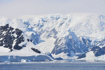 北極と南極は、どちらも一面の氷に覆われた極寒の地。