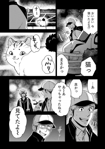 おいおい、今、猫いたよな！？