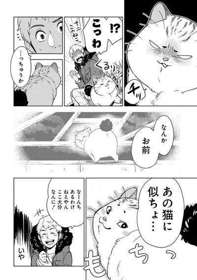 あの猫に似ちょ...