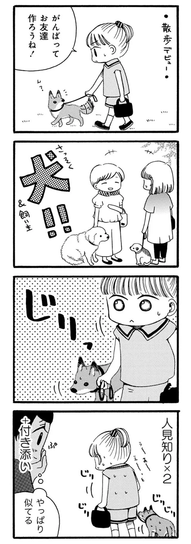『96歳の柴犬ハチさんは、今日もお散歩しています。』より