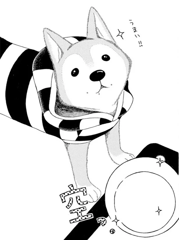 『96歳の柴犬ハチさんは、今日もお散歩しています。』より