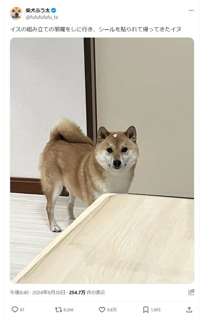 シールを貼られてしまっていました▶ふう太くんのビビりな性格を写した写真も（⇒次へ）