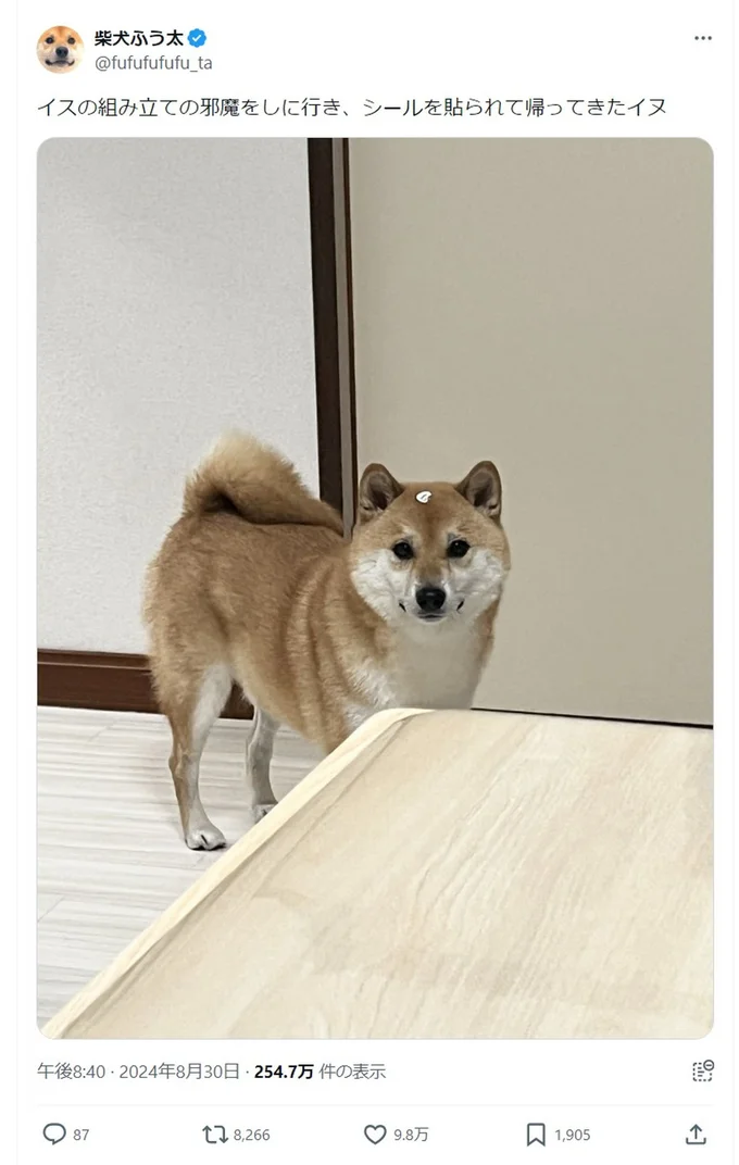シールを貼られてしまっていました▶ふう太くんのビビりな性格を写した写真も（⇒次へ）
