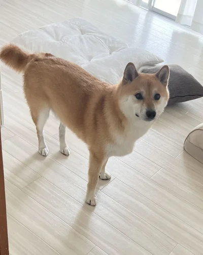 なんだか怯えているような表情です▶この時のポストは次の写真へ（⇒次へ）