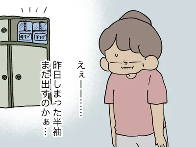 昨日しまった半袖また出すのかぁ…