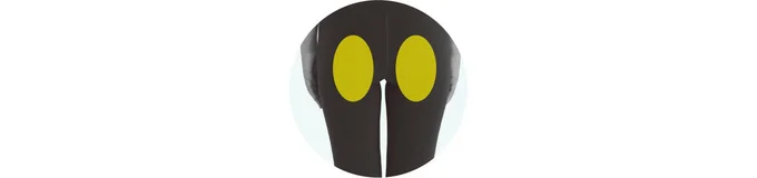 下半身の老廃物を流すキーとなるのが股関節