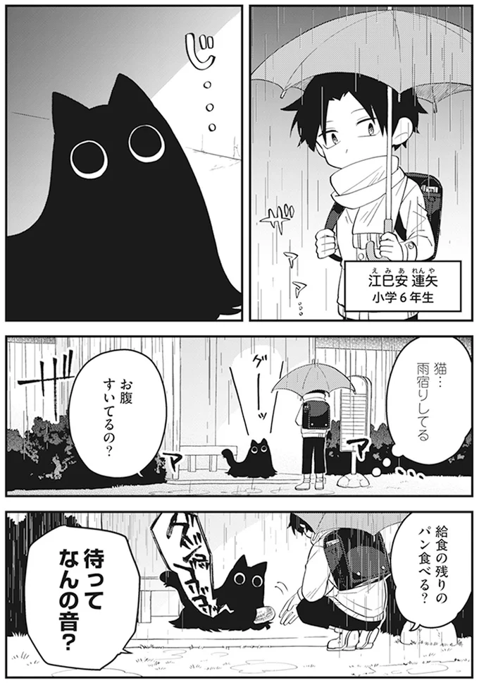 猫…