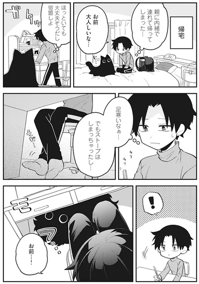 連れて帰ってしまった…