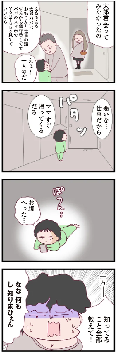 『整形主婦 サレ妻の逆襲』より