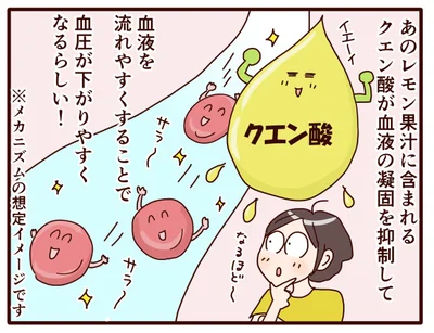 「ポッカレモン100」のレモン果汁に含まれる機能性関与成分は「クエン酸」