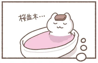 桜並木…