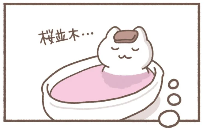 桜並木…