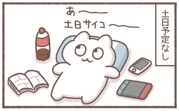 引きこもりがちなアラサーOLの休日のスケジューリング／毎日がんばっていきる、えらい（23）