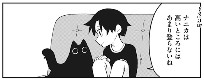 天井には貼り付けるけど、高いところには登らない。謎の動きを見せる我が家の猫／猫のようなナニカ（6）