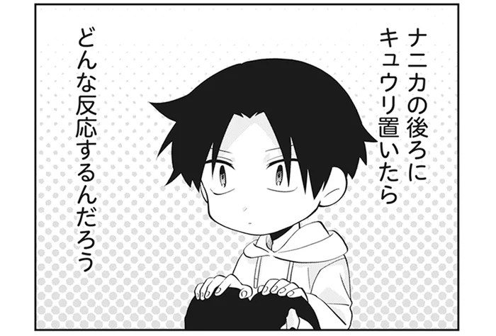 背後にきゅうりを置かれた猫、どんな反応をするだろう？ イタズラ心で試してみた結果／猫のようなナニカ（8）