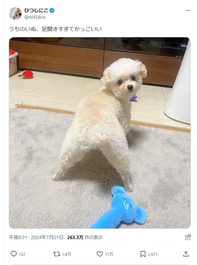 うちのいぬ、足開きすぎてかっこいい！▶かっこよすぎる足に注目！（⇒次へ）