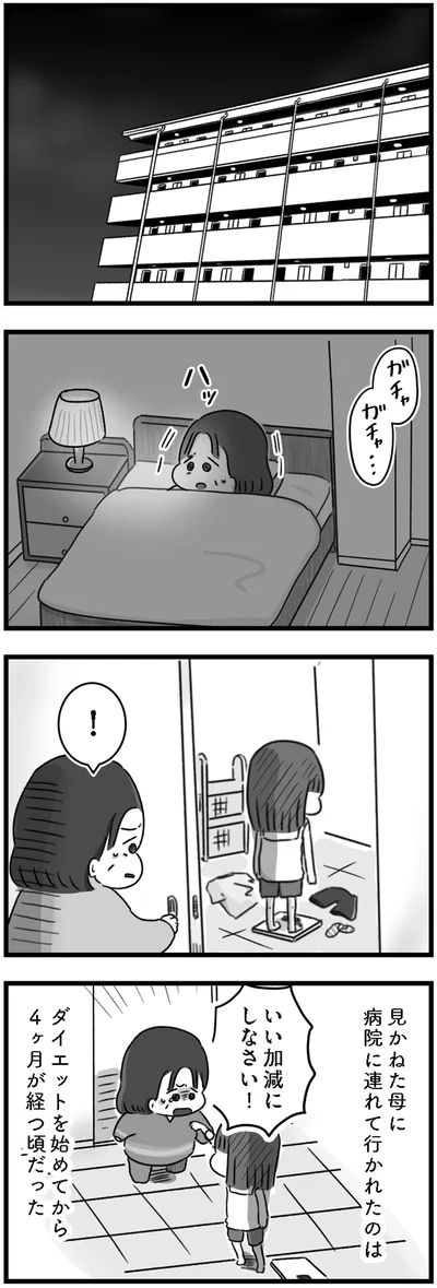 『精神科病棟の青春 あるいは高校時代の特別な1年間について』より